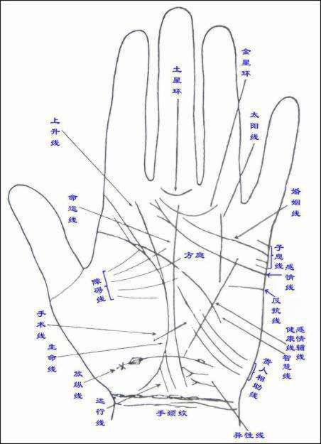 极其稀有的手相图片,必定有大出息的手相