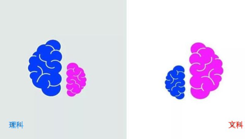 “偏文科”VS“偏理科”，4张图便让你看清，理科生是来搞笑的