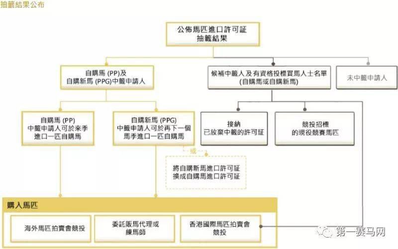 香港马会2022年马匹抽签开启！成为它的会员马主到底有多难？