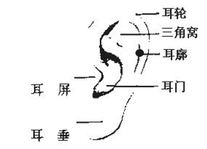 女人耳朵长痣面相图解，女人耳朵有痣图解大全