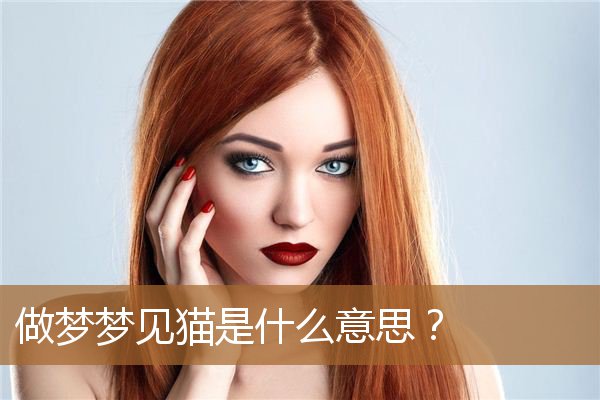 女人做梦梦见猫是什么意思（男人梦见猫是什么意思）