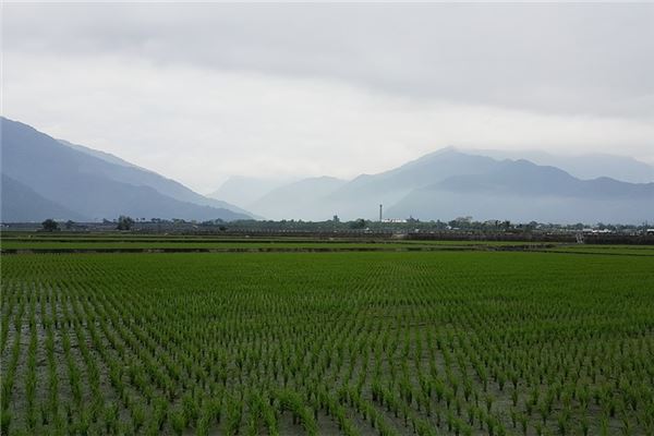 做梦梦到耕田是什么意思（梦见草木茂盛的大山）