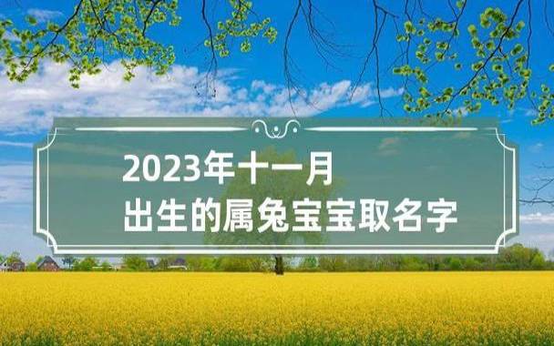 宝宝起名大全属兔2023，属兔吉利男孩名字