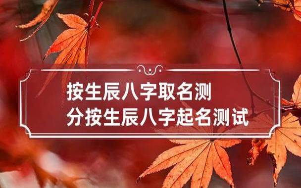 生辰八字起名测名打分2018