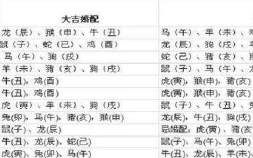 43岁属鸡的人今年运气如何，81年属鸡人2024年运势