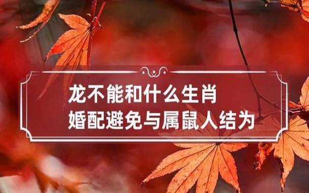 属龙最佳婚配属什么，和哪个属相最配