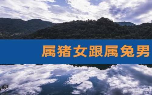 99年属兔在哪一年结婚最合适，分析99年属兔人适合结婚的年份