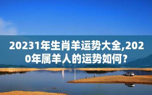 79年属羊45岁2024年运势