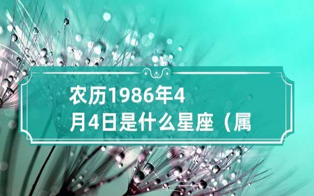 属虎金牛座2024年运势