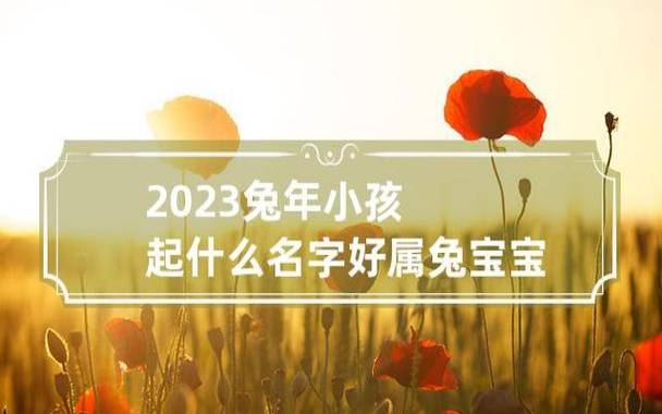 属兔孩子起名2023年，好听名字推荐