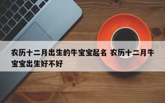 2021年12月26日出生的女宝宝八字详解，牛宝宝起名