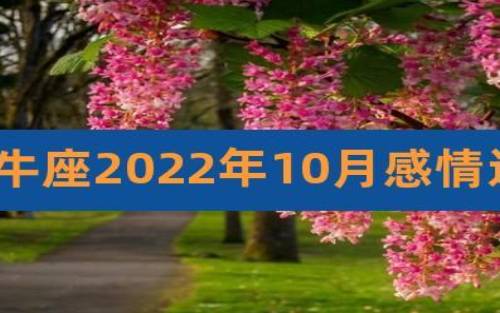 金牛座2022年11月感情运势，2022年11月金牛座感情运程详解