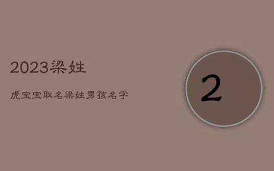 男宝宝名字大全2022属虎免费