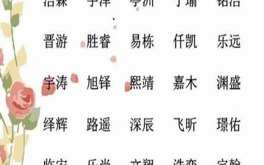 虎年男宝名字乳名两个字，五行八字取小名