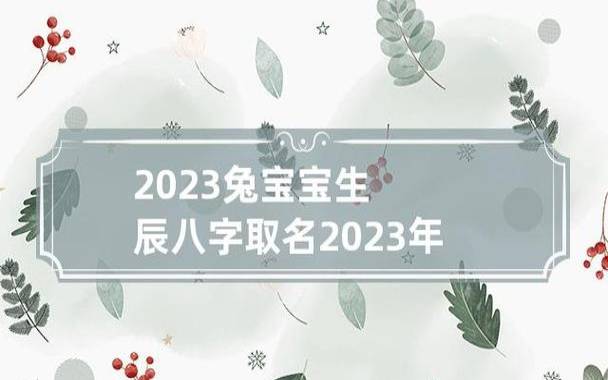 2023兔年取名注意，读起来响亮大气的好名字