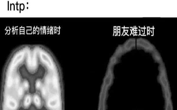 intp为什么被称为最可怕的人格（intp和什么人格最配）