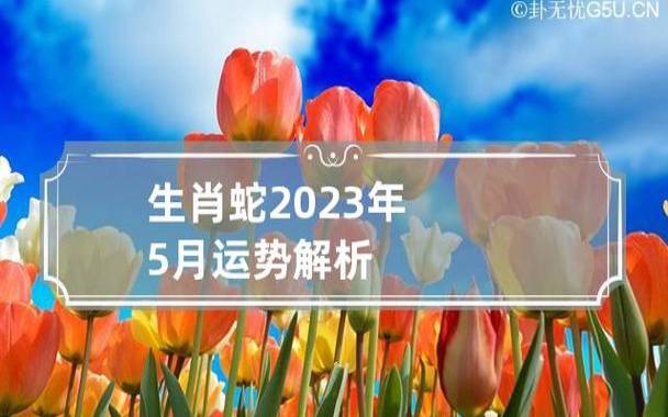 生肖蛇2023年运势如何