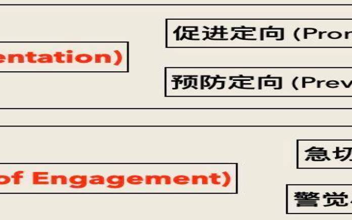 intj和infp为什么叫不安定组，intj和infp合得来吗