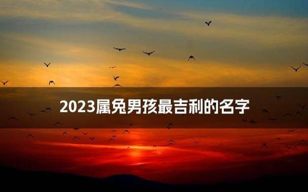 2023年属兔起名字男孩（男宝吉利大气的名字）