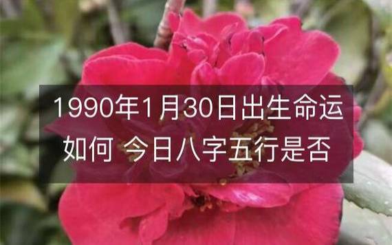 2019年八字庚午月运势（2019年6月6日7月7日）