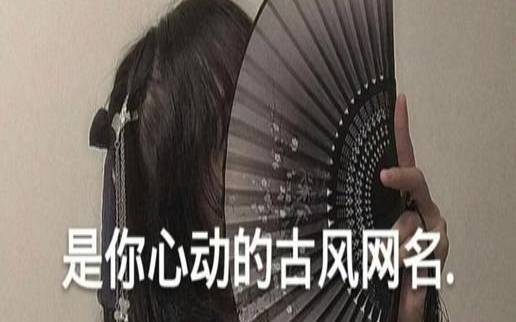 精致气质网名女