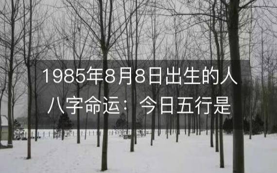 2019年八字乙丑月运势（戊土／劫财月）