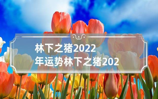 属相猪在2022年运势如何（属猪人2022年每月运势详解）